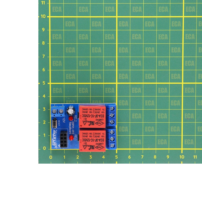 برد توسعه ماژول ESP8266 دو رله 12 ولت مخصوص هوشمند سازی ایرانیک برد توسعه ماژول ESP8266 دو رله 12 ولت مخصوص هوشمند سازی ایرانیک