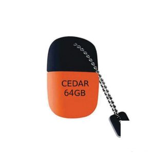 فلش مموری لوتوس مدل Cedar ظرفیت 64 گیگابایت