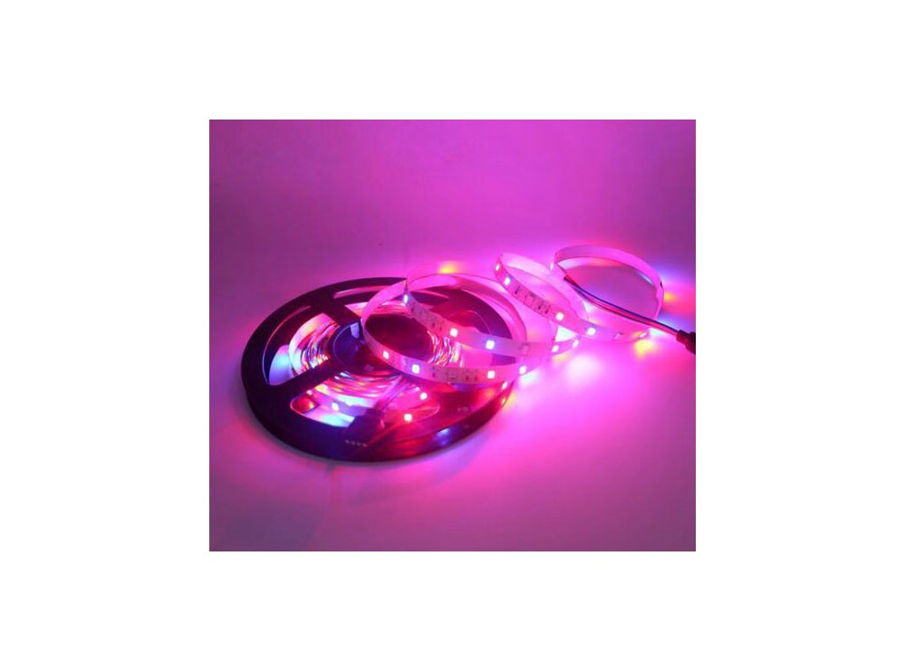 LED نواری RGB درشت 5050 بدون ژله 60PCS رول 5متری