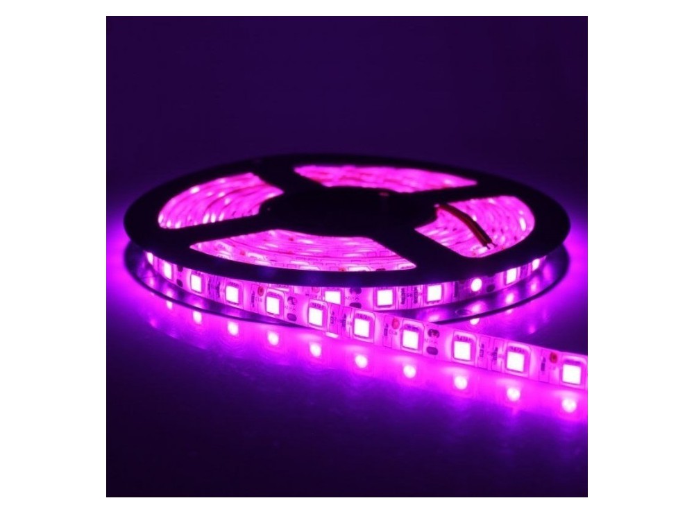 LED نواری بنفش درشت 5050 60Pcs رول 5متری LED نواری بنفش درشت 5050 60Pcs رول 5متری