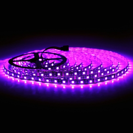LED نواری بنفش درشت 5050 60Pcs رول 5متری LED نواری بنفش درشت 5050 60Pcs رول 5متری